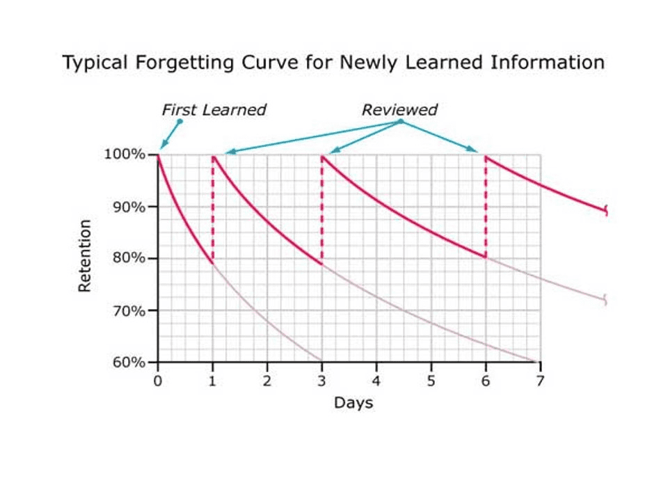 Typical Forgetting Curve for Newly Learned Information Chart by MBM