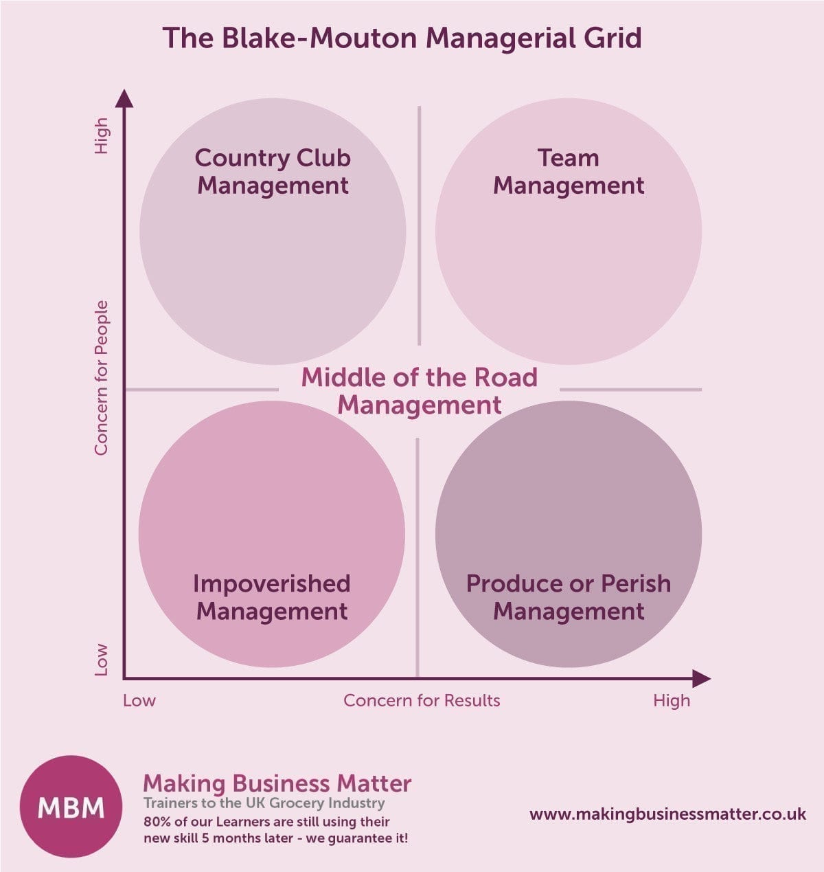 Purple graph of the Blake-Mouton Managerial Grid graph displaying four leadership styles