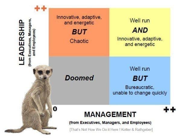 Leadership vs Management Infographic