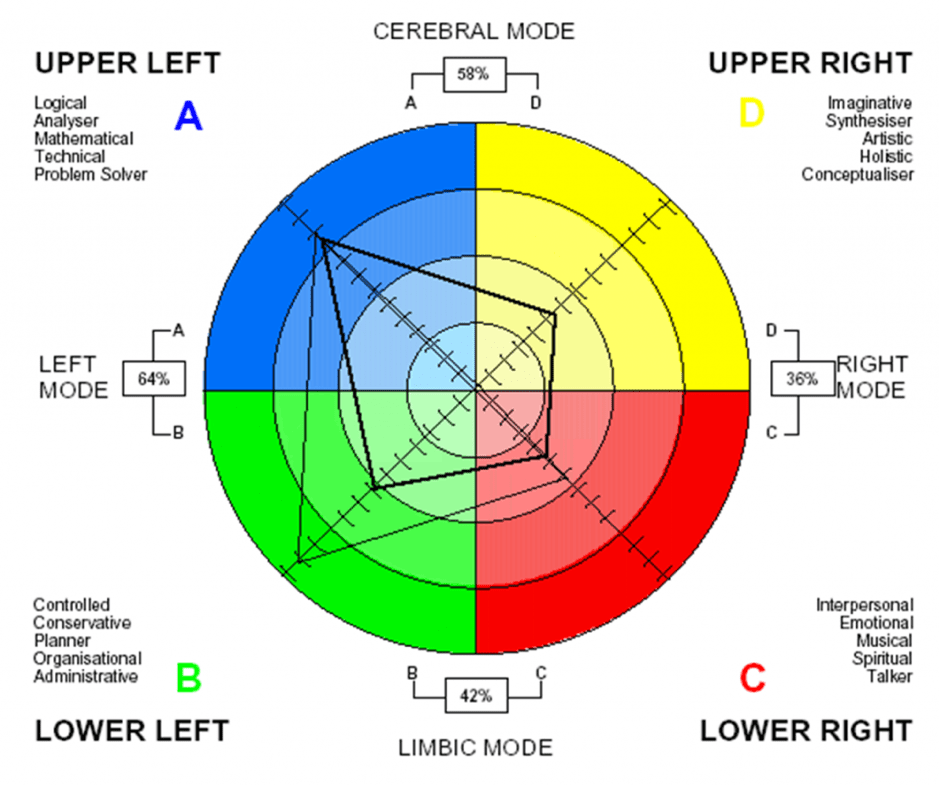 HBDI ® | HBDI ® Profile | Ultimate Guide | FREE Resource | MBM