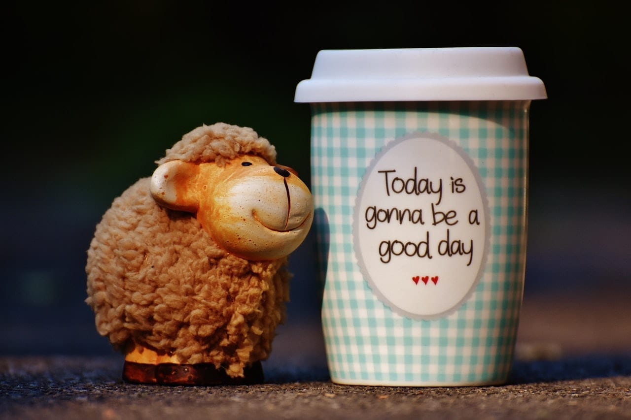 A travel cup with 'Today is gonna be a good day' on it, and a toy sheep beside it